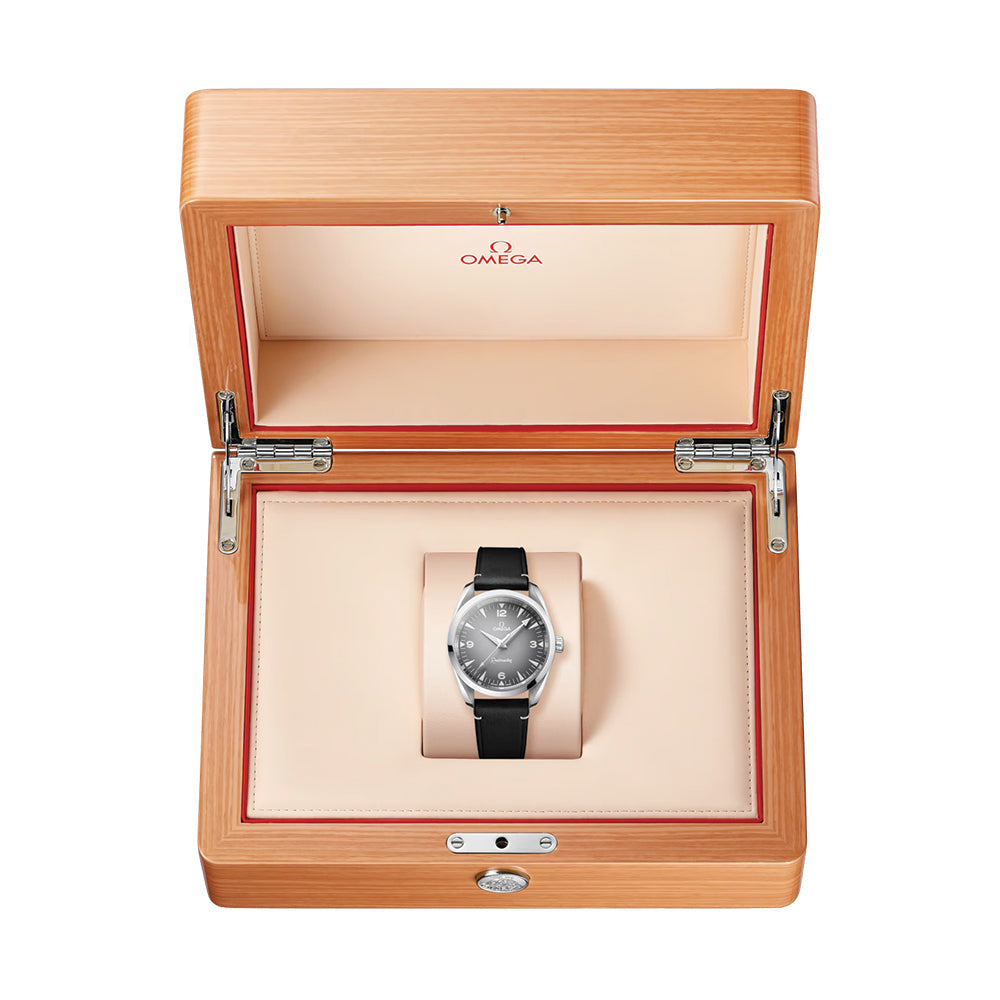 Seamaster Railmaster 38mm - Grys op leerband