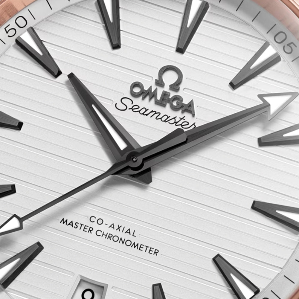 Seamaster Aqua Terra 150M Steel and Sedna? Gold 41mm - Silver on Rubber Strap