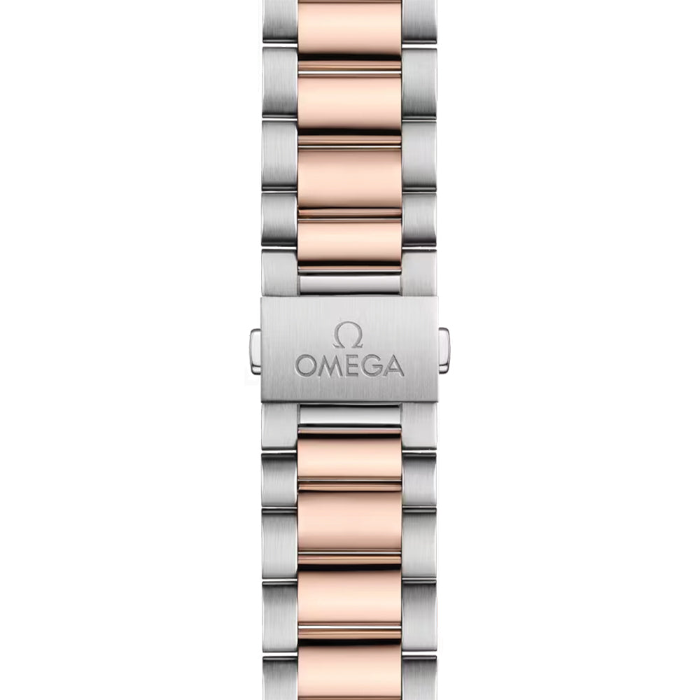 Seamaster Aqua Terra 150M Steel and Sedna? Gold 38mm - Grey on Bracelet