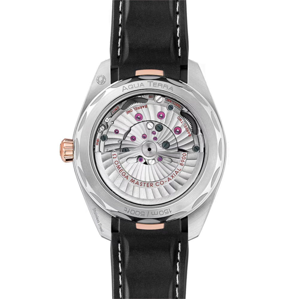 Seamaster Aqua Terra 150M Staal en Sedna™ Goud 41 mm - Silwer op rubberband
